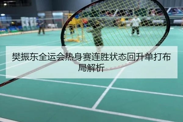 樊振东全运会热身赛连胜状态回升单打布局解析